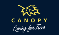 Canopy - Caring for Trees