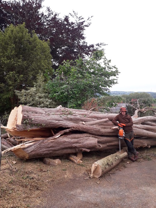 Team member sat on felled tree