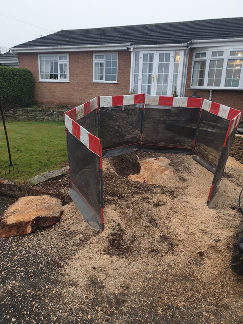 Grinding tree stump