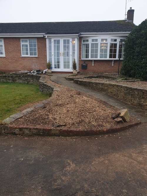 After stump grinding