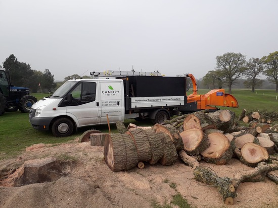 Felled and processed tree next to our van