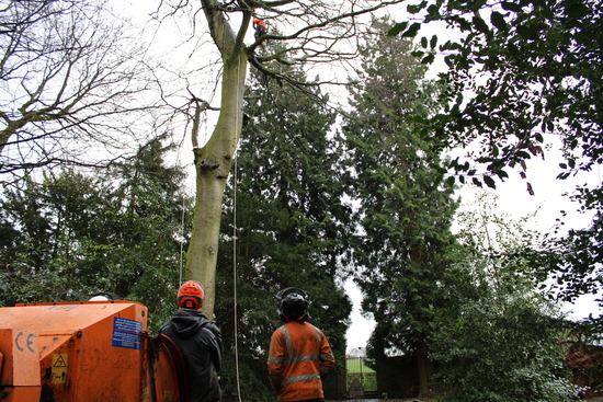 Team looking up at team member working