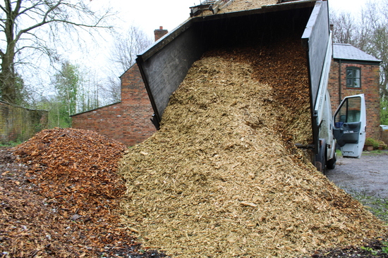 Wood chips being tipped