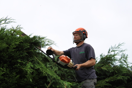 Team leader trimming hedge