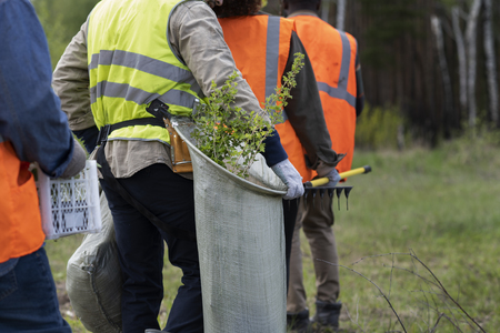 Tree planting