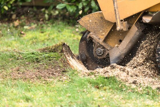 Stump grinding