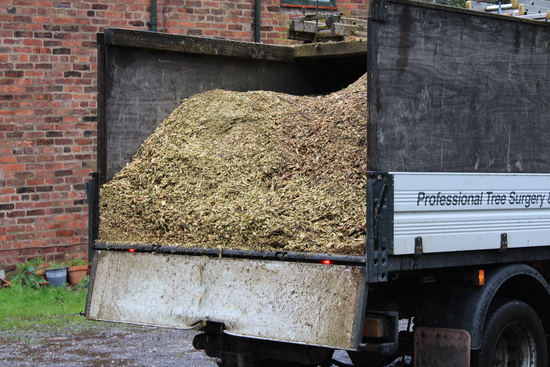 Wood chips in back of van