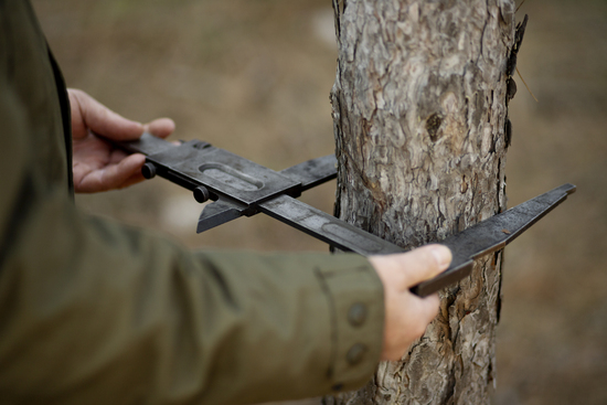 Measuring branch