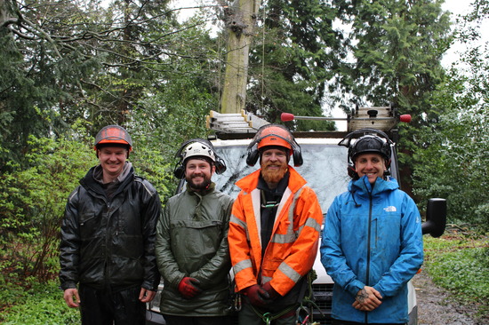 Canopy Tree Care Team